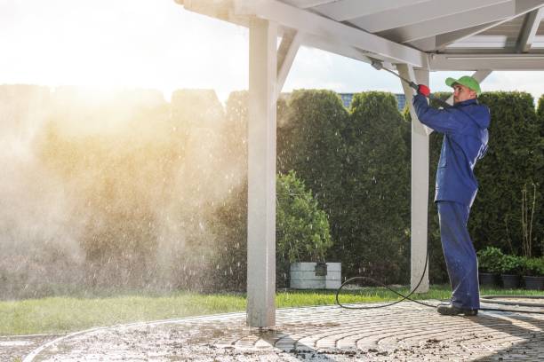 Best Driveway Pressure Washing  in Marianna, FL